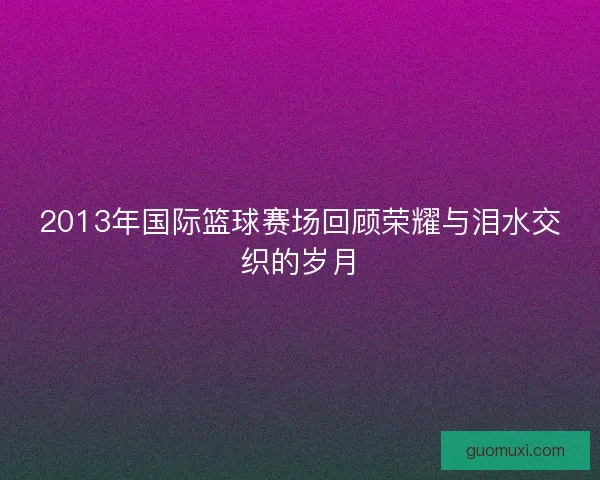 2013年国际篮球赛场回顾荣耀与泪水交织的岁月